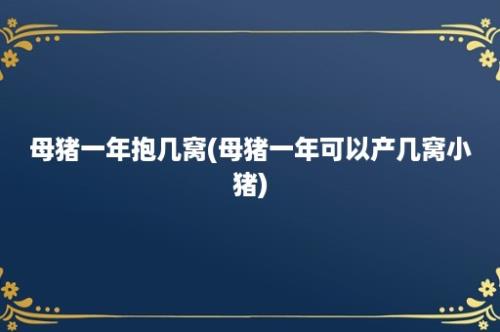 母猪一年抱几窝(母猪一年可以产几窝小猪)