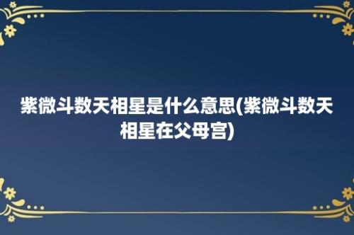 紫微斗数天相星是什么意思(紫微斗数天相星在父母宫)