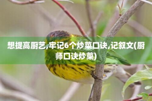 想提高厨艺,牢记6个炒菜口诀,记叙文(厨师口诀炒菜)