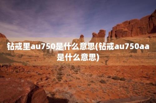 钻戒里au750是什么意思(钻戒au750aa是什么意思)