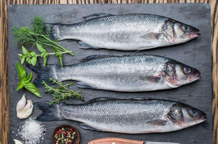 海鱼