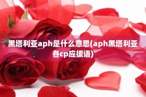 黑塔利亚aph是什么意思(aph黑塔利亚各cp应援语)