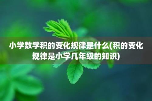 小学数学积的变化规律是什么(积的变化规律是小学几年级的知识)