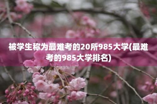 被学生称为最难考的20所985大学(最难考的985大学排名)