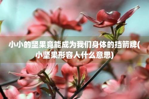 小小的坚果竟能成为我们身体的挡箭牌(小坚果形容人什么意思)