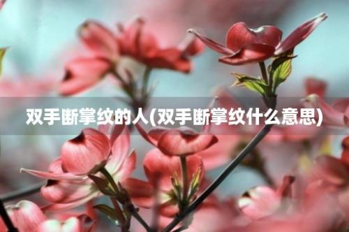 双手断掌纹的人(双手断掌纹什么意思)