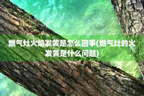 燃气灶火焰发黄是怎么回事(燃气灶的火发黄是什么问题)