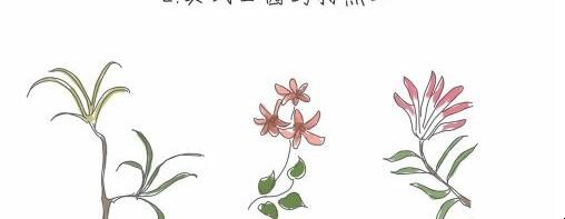 美式田园风格的特点有哪些