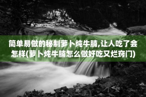 简单易做的秘制萝卜炖牛腩,让人吃了会怎样(萝卜炖牛腩怎么做好吃又烂窍门)