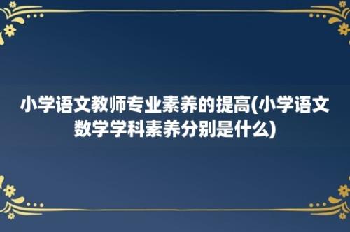 小学语文教师专业素养的提高(小学语文数学学科素养分别是什么)