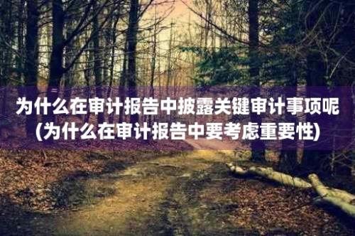 为什么在审计报告中披露关键审计事项呢(为什么在审计报告中要考虑重要性)