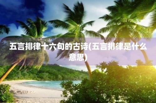 五言排律十六句的古诗(五言排律是什么意思)