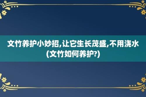 文竹养护小妙招,让它生长茂盛,不用浇水(文竹如何养护?)