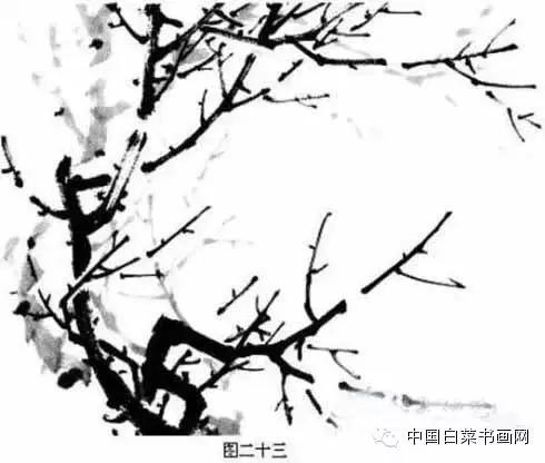 国画初学者入门步骤画梅花（大家一起学学国画梅花的各种画法）(15)