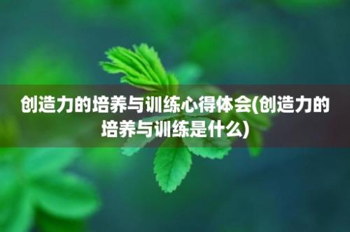 创造力的培养与训练心得体会(创造力的培养与训练是什么)