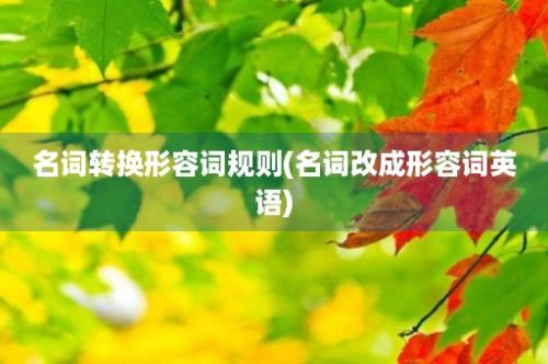 名词转换形容词规则(名词改成形容词英语)