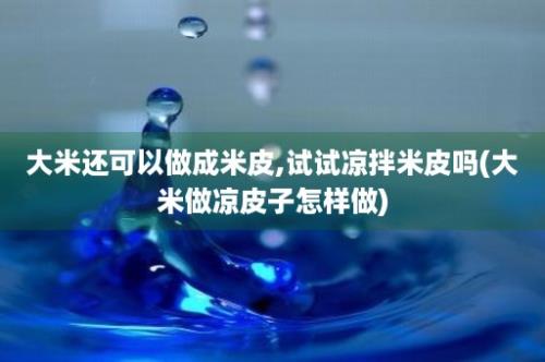 大米还可以做成米皮,试试凉拌米皮吗(大米做凉皮子怎样做)