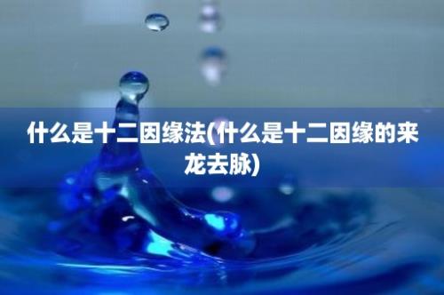 什么是十二因缘法(什么是十二因缘的来龙去脉)