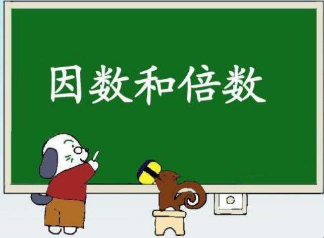 17因数有哪些