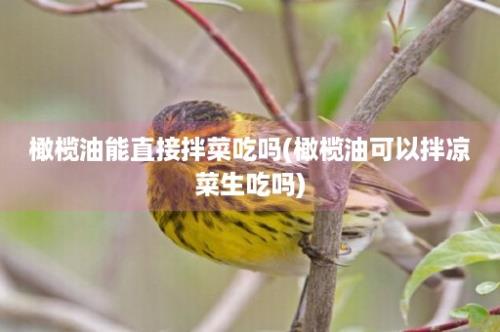 橄榄油能直接拌菜吃吗(橄榄油可以拌凉菜生吃吗)