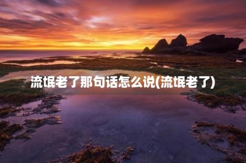 流氓老了那句话怎么说(流氓老了)