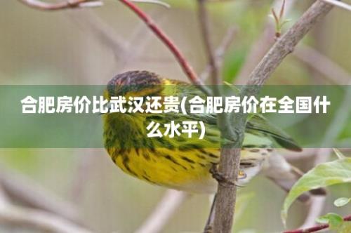 合肥房价比武汉还贵(合肥房价在全国什么水平)