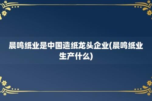 晨鸣纸业是中国造纸龙头企业(晨鸣纸业生产什么)