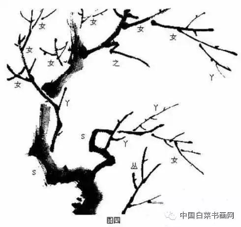 国画初学者入门步骤画梅花（大家一起学学国画梅花的各种画法）(7)