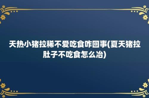 天热小猪拉稀不爱吃食咋回事(夏天猪拉肚子不吃食怎么冶)