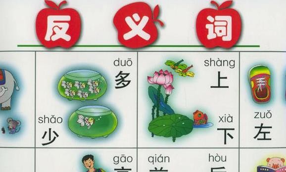 一般的反义词是什么