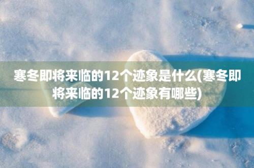 寒冬即将来临的12个迹象是什么(寒冬即将来临的12个迹象有哪些)