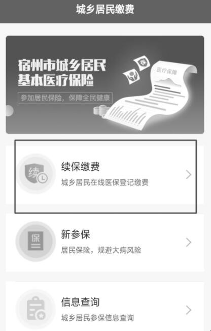 宿州医保缴费流程是什么
