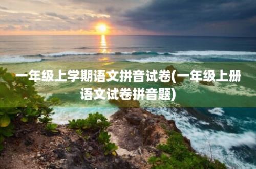 一年级上学期语文拼音试卷(一年级上册语文试卷拼音题)