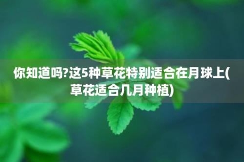 你知道吗?这5种草花特别适合在月球上(草花适合几月种植)