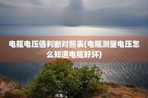 电瓶电压值判断对照表(电瓶测量电压怎么知道电瓶好坏)