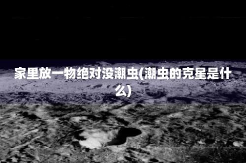 家里放一物绝对没潮虫(潮虫的克星是什么)