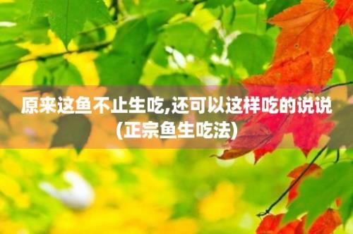 原来这鱼不止生吃,还可以这样吃的说说(正宗鱼生吃法)