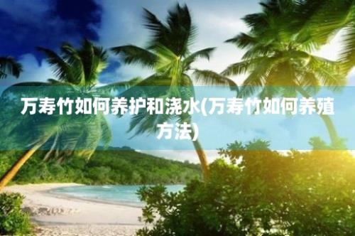 万寿竹如何养护和浇水(万寿竹如何养殖方法)