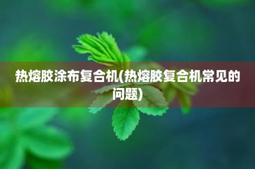 热熔胶涂布复合机(热熔胶复合机常见的问题)