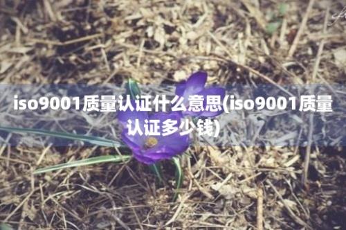 iso9001质量认证什么意思(iso9001质量认证多少钱)