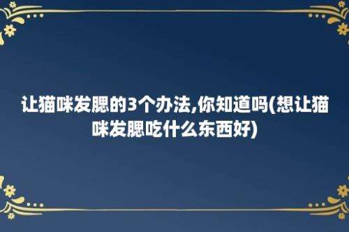 让猫咪发腮的3个办法,你知道吗(想让猫咪发腮吃什么东西好)