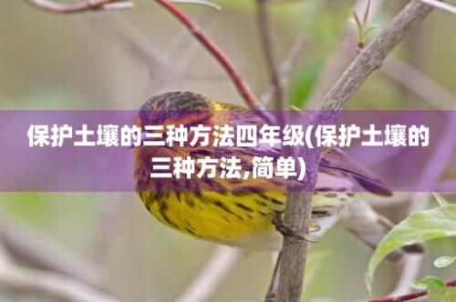 保护土壤的三种方法四年级(保护土壤的三种方法,简单)