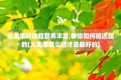 火龙果好吃且营养丰富,教你如何挑选甜的(火龙果怎么选才是最好的)