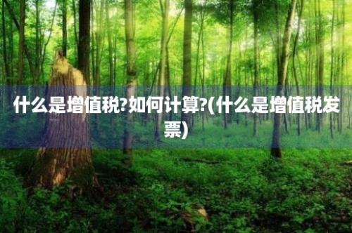 什么是增值税?如何计算?(什么是增值税发票)