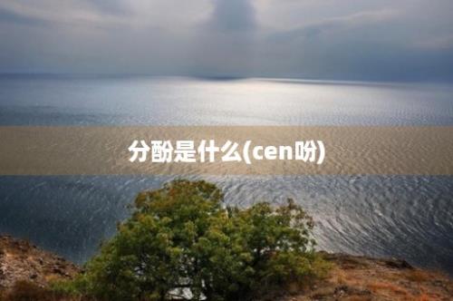 分酚是什么(cen吩)