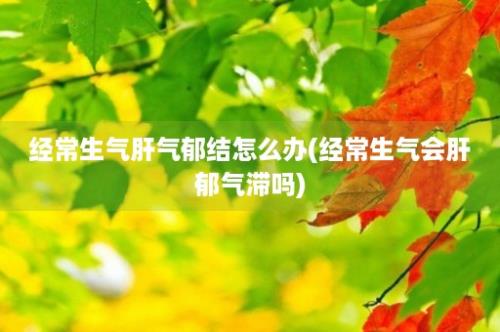 经常生气肝气郁结怎么办(经常生气会肝郁气滞吗)