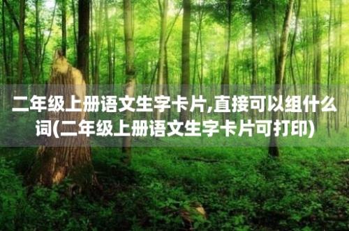 二年级上册语文生字卡片,直接可以组什么词(二年级上册语文生字卡片可打印)