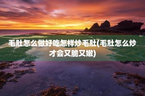 毛肚怎么做好吃怎样炒毛肚(毛肚怎么炒才会又脆又嫩)