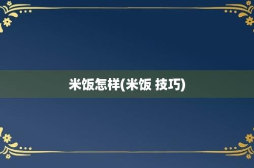 米饭怎样(米饭 技巧)