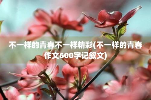 不一样的青春不一样精彩(不一样的青春作文600字记叙文)